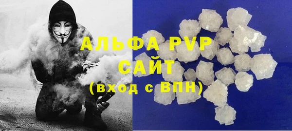 спиды Бородино