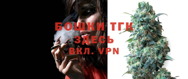 спиды Бородино
