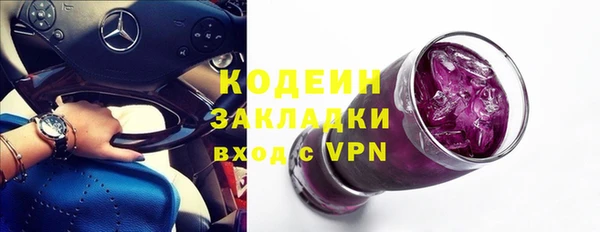 спиды Бородино