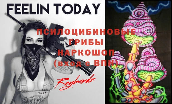 спиды Бородино
