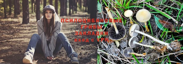 a pvp Бугульма