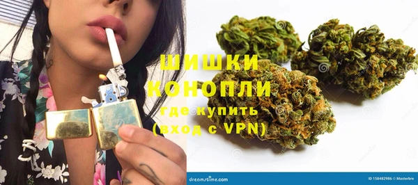спиды Бородино