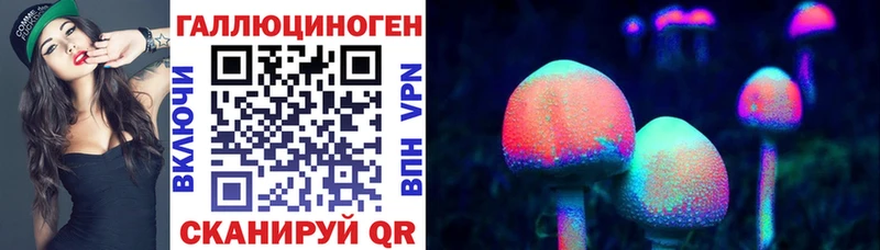 Купить где  Гурьевск  Галлюциногенные грибы MAGIC MUSHROOMS 